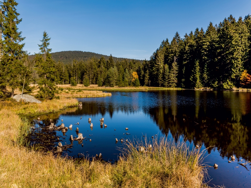 Der Fichtelsee im Fichtelgebirge