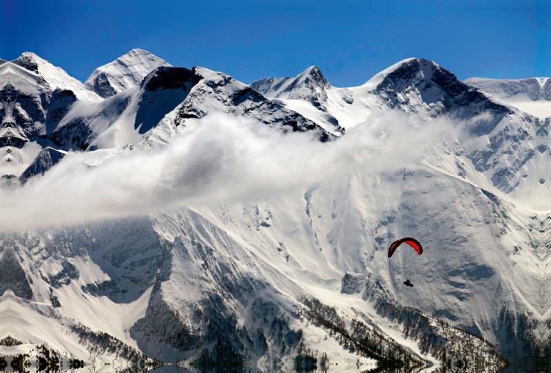 Paragleiter vor den Hohen Tauern