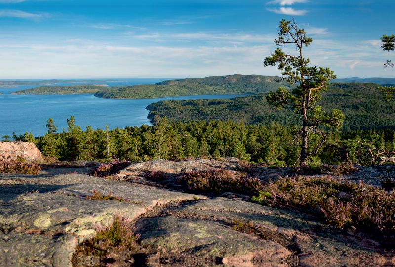 Blick vom Skuleskogens Nationalpark in den Schärengarten der Ostsee, Schweden