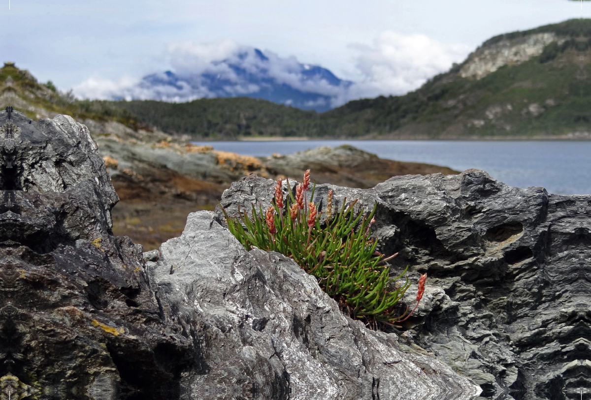 Tierra del Fuego - Große Feuerlandinsel/Argentinien