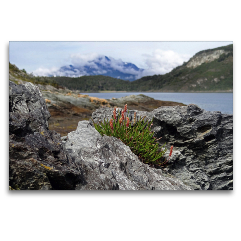 Tierra del Fuego - Große Feuerlandinsel/Argentinien