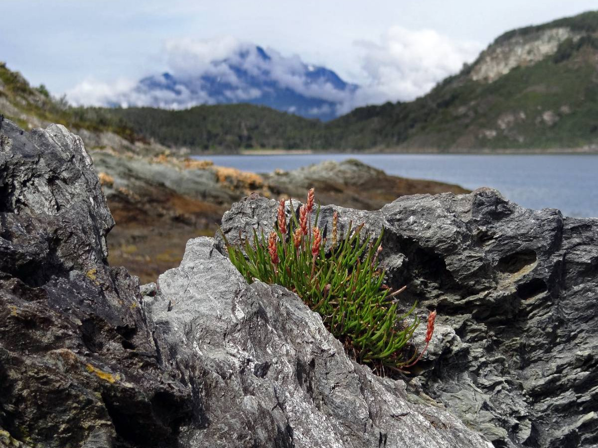 Tierra del Fuego - Große Feuerlandinsel/Argentinien