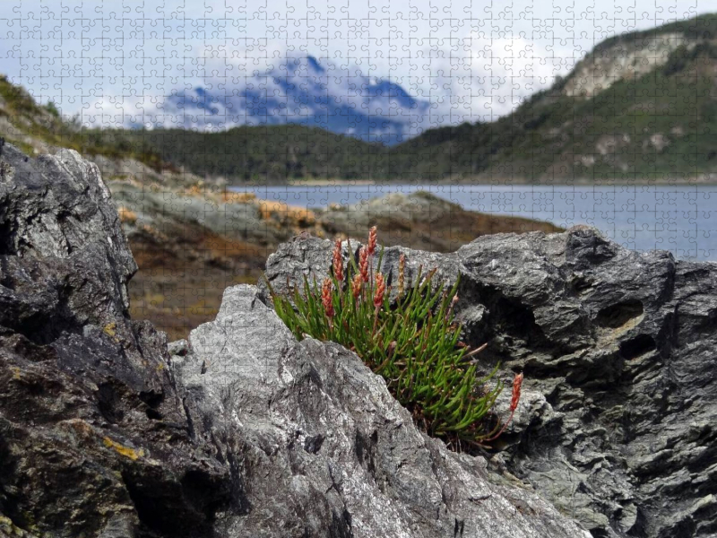 Tierra del Fuego - Große Feuerlandinsel/Argentinien