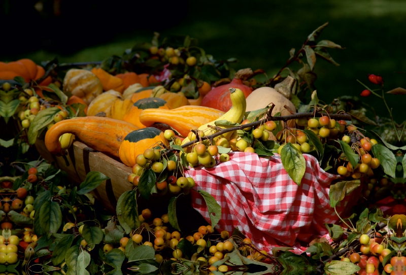 Frisches Obst und Gemüse