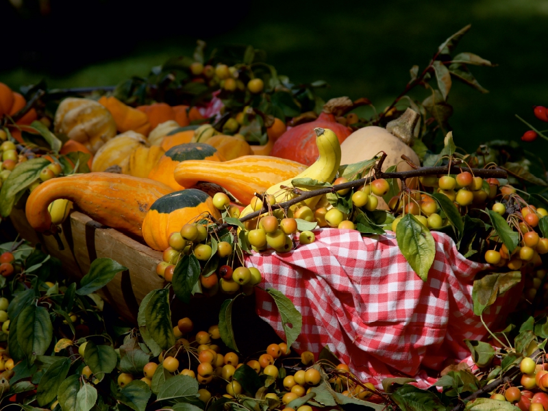 Frisches Obst und Gemüse