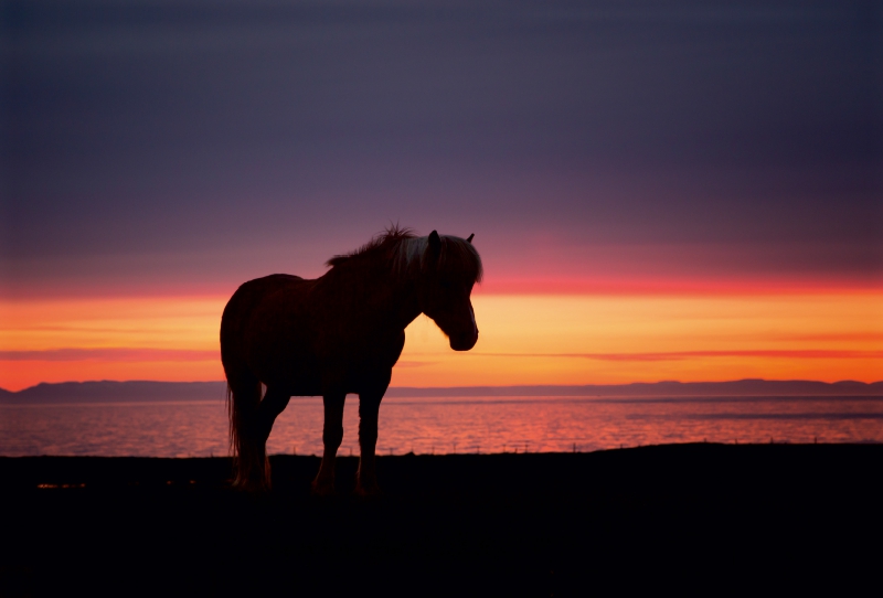 Ein Motiv aus dem Kalender Beautiful Nature - Iceland