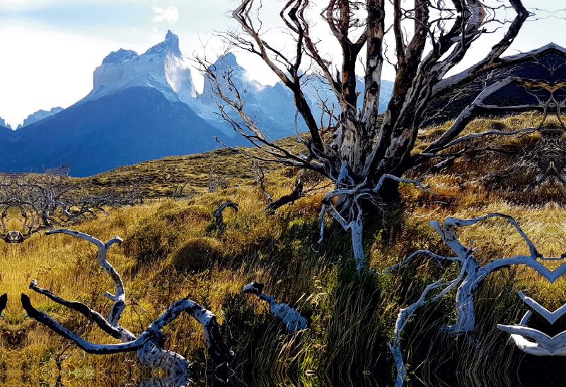 Mirador Cuernos, Torres del Paine Nationalpark, Chile