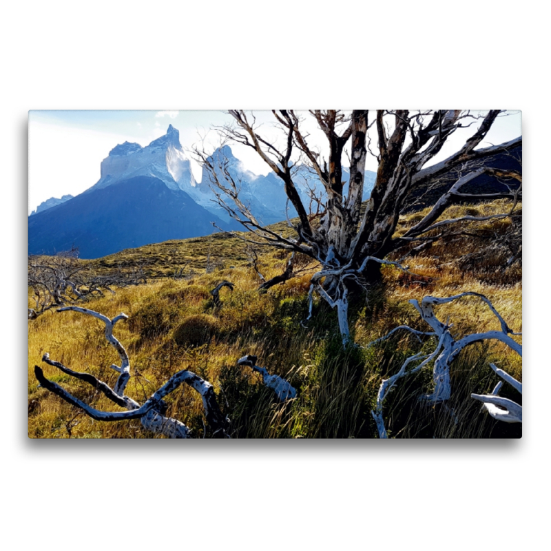 Mirador Cuernos, Torres del Paine Nationalpark, Chile