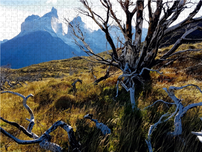 Mirador Cuernos, Torres del Paine Nationalpark, Chile