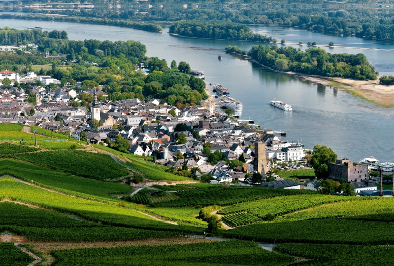 Rüdesheim mit Brömserburg und Boosenburg