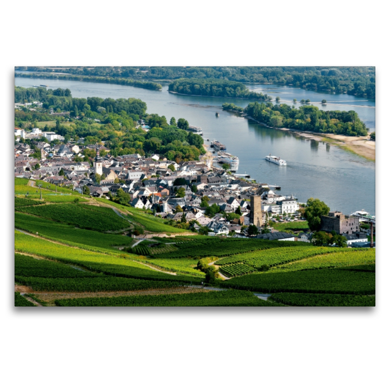 Rüdesheim mit Brömserburg und Boosenburg