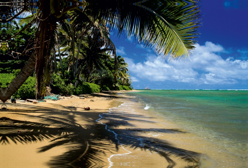 Ein Motiv aus dem Kalender Hawaii Beaches - Die schönsten Strände im Pazifik