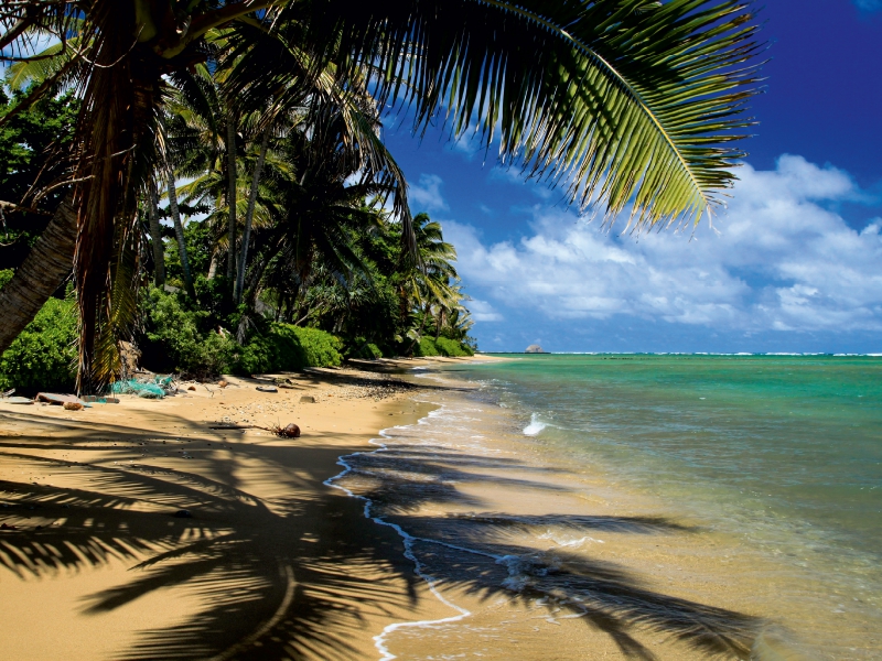 Ein Motiv aus dem Kalender Hawaii Beaches - Die schönsten Strände im Pazifik