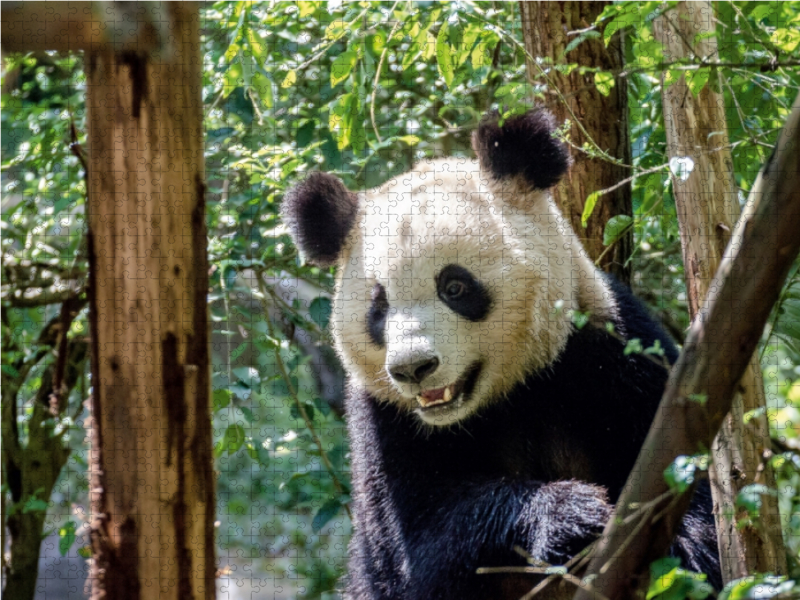 Chengdu