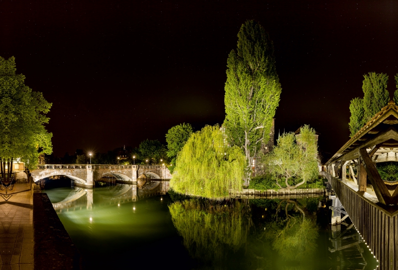 Die Trauerweide zwischen Henkersteg und Maxbrücke