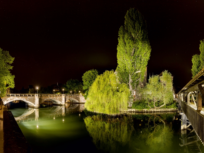 Die Trauerweide zwischen Henkersteg und Maxbrücke