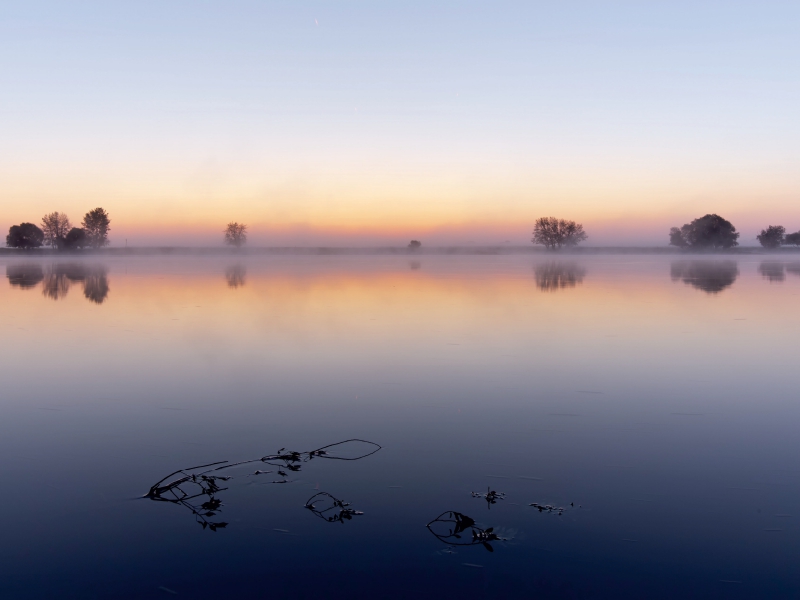 Morgenrot an der Elbe