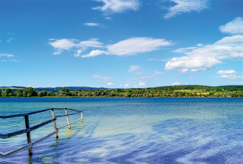 Frühling am Bodensee Naturschutzgebiet Mettnau