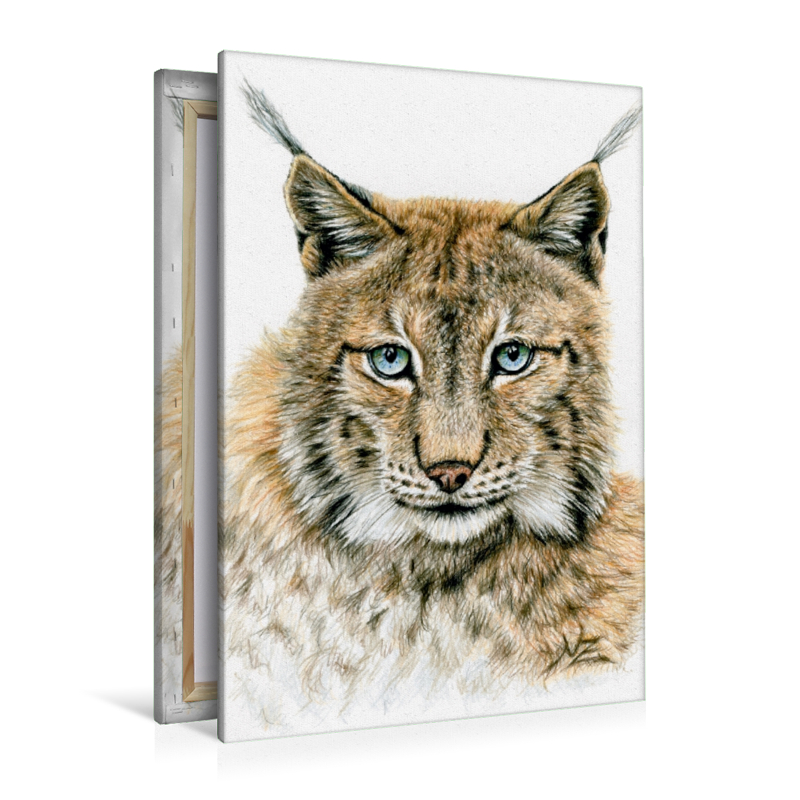 Der Eurasische Luchs