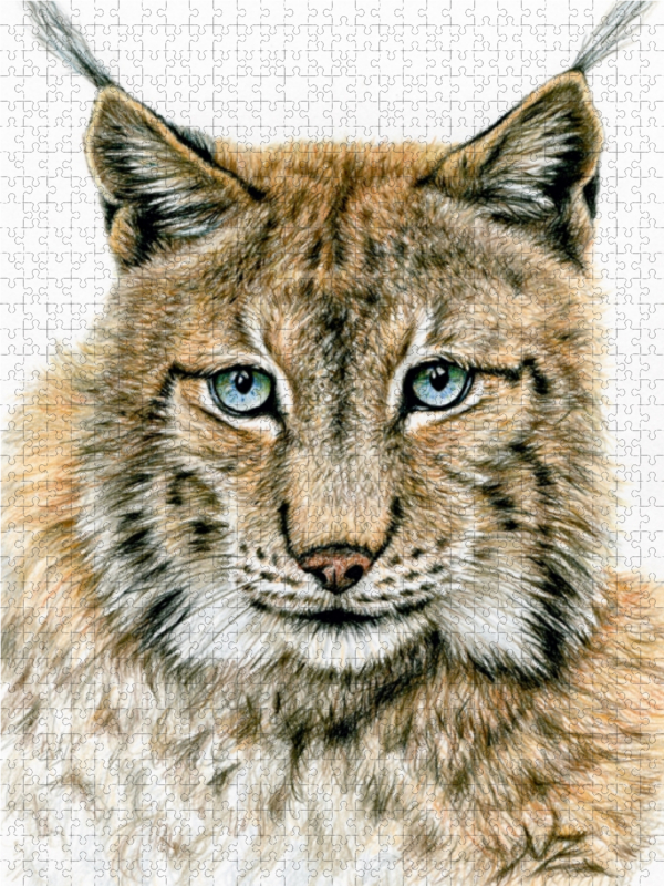 Der Eurasische Luchs