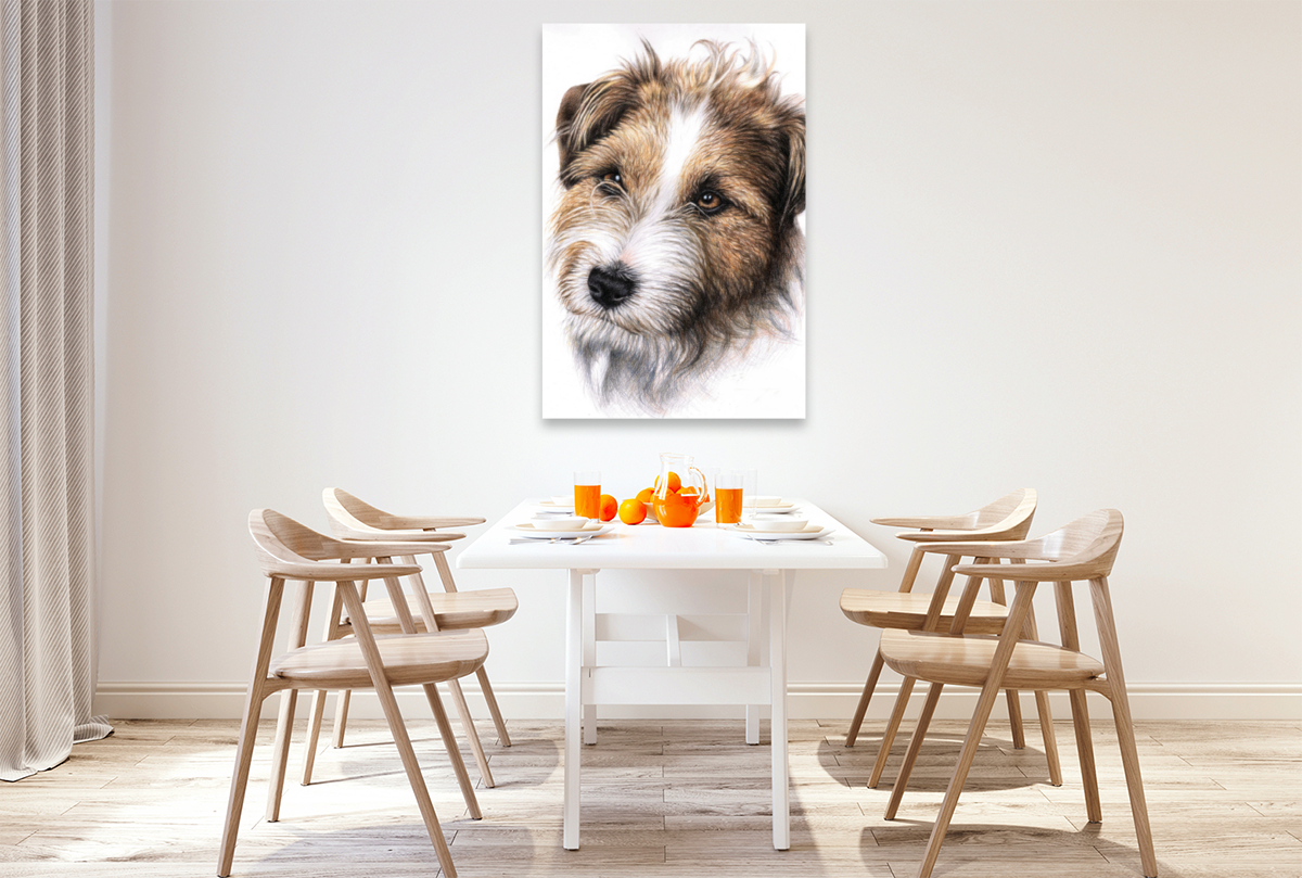 Jack Russell Terrier