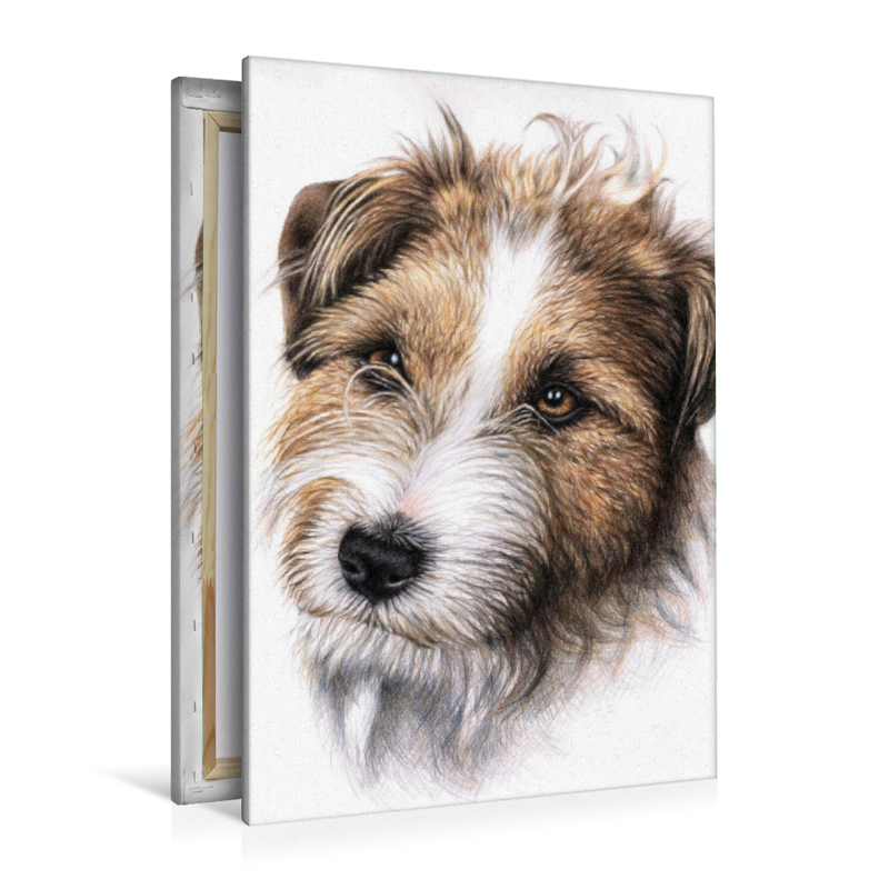 Jack Russell Terrier