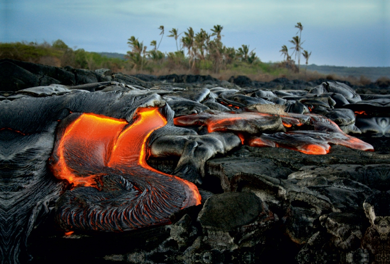 Lava und Kokospalmen