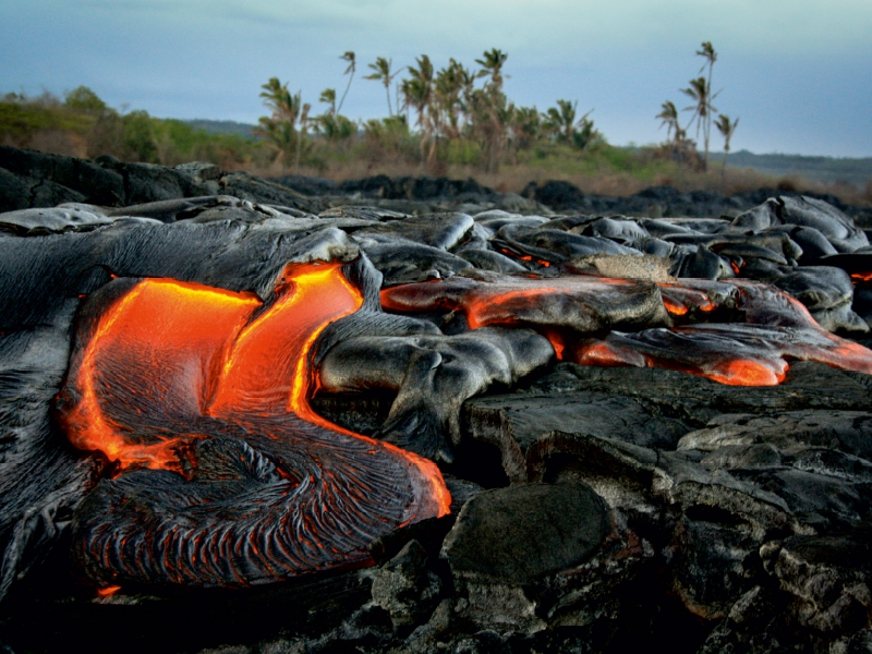 Lava und Kokospalmen