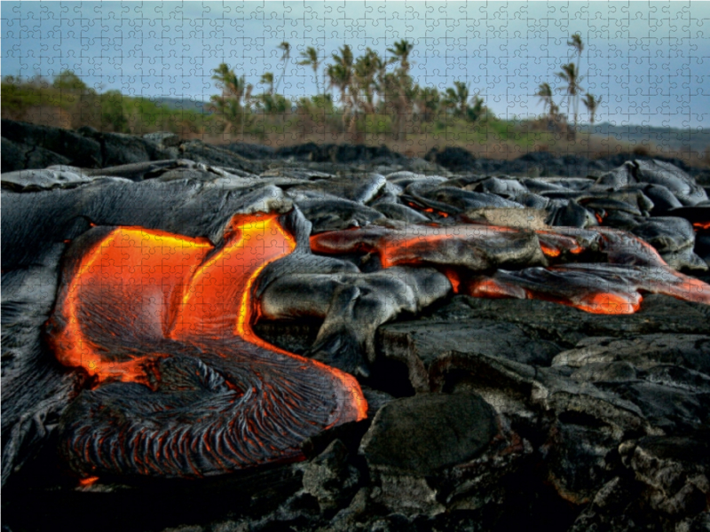 Lava und Kokospalmen