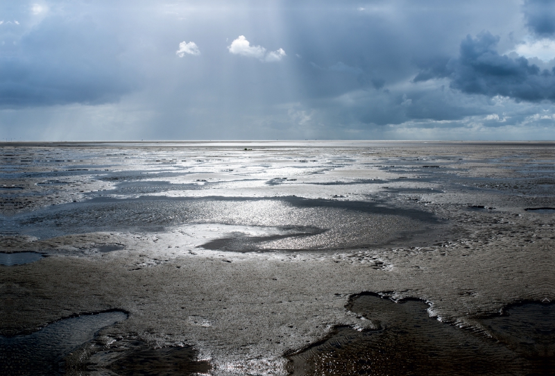 Wattlandschaft im Lichterspot