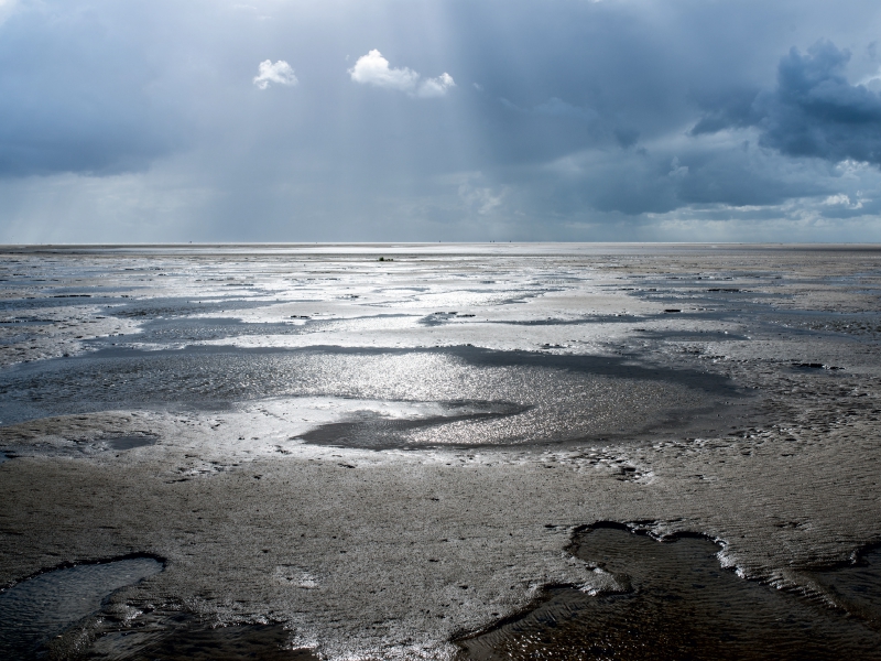 Wattlandschaft im Lichterspot