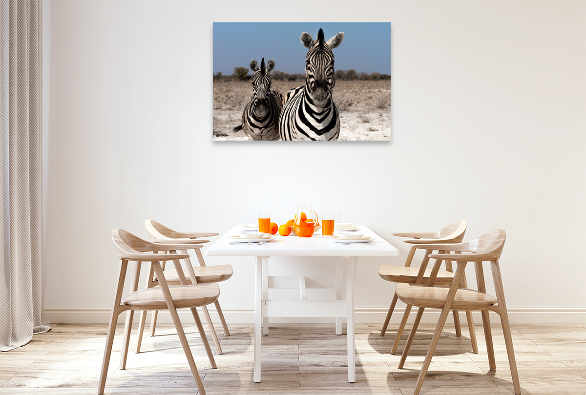 Zebrapärchen bei Rietfontein, Etosha