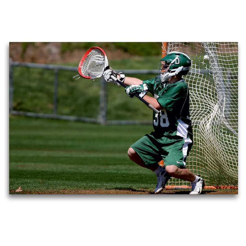 Lacrosse Torwart (Goalie)