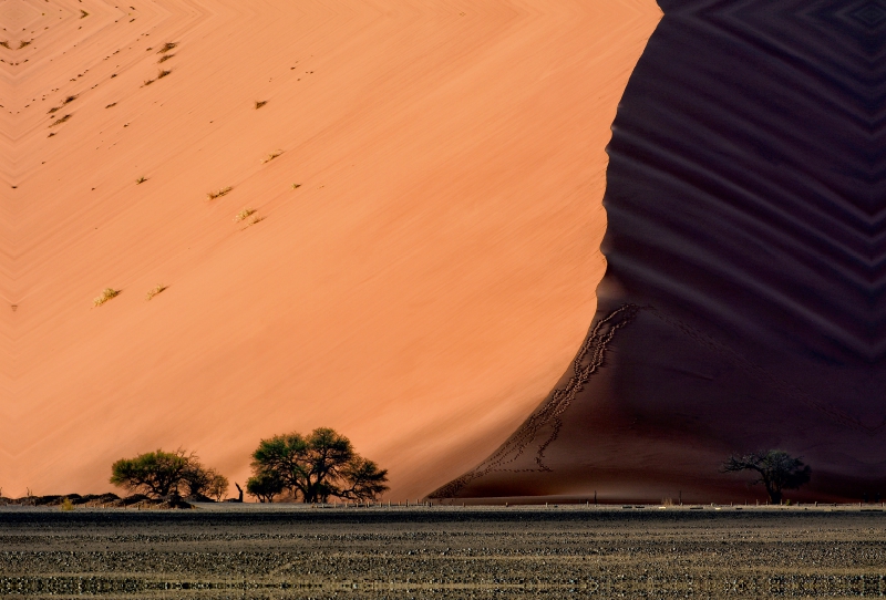 Licht und Schatten im Sossus Vlei