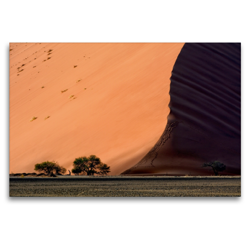 Licht und Schatten im Sossus Vlei