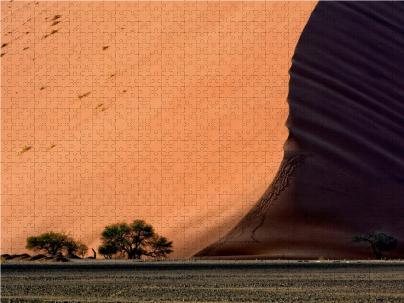 Licht und Schatten im Sossus Vlei