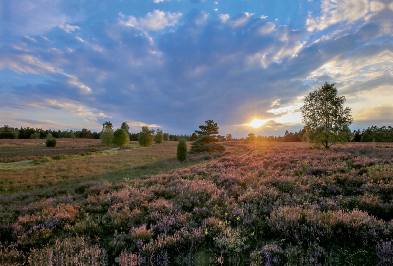 Sonnenuntergang im Büsenbachtal bei Handeloh