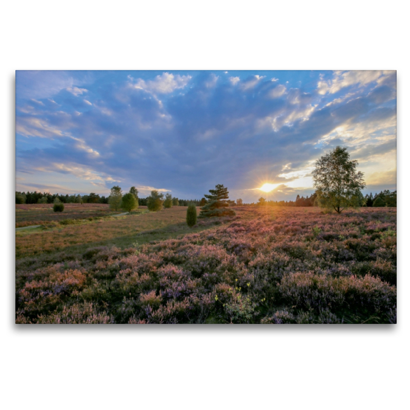 Sonnenuntergang im Büsenbachtal bei Handeloh