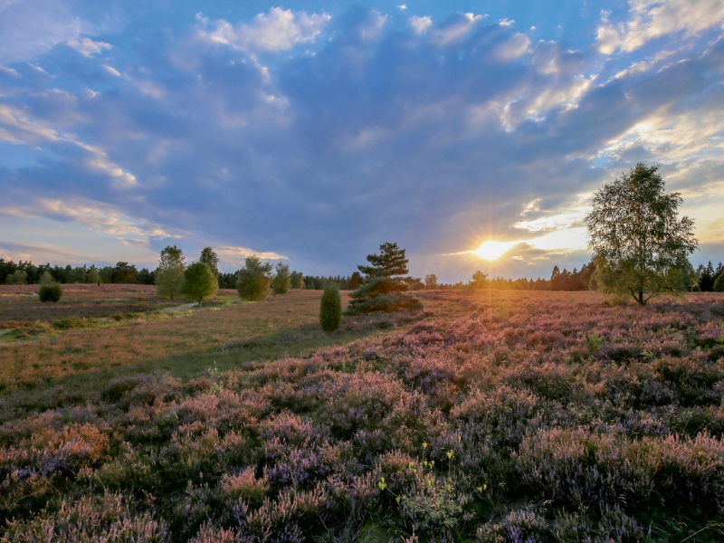 Sonnenuntergang im Büsenbachtal bei Handeloh