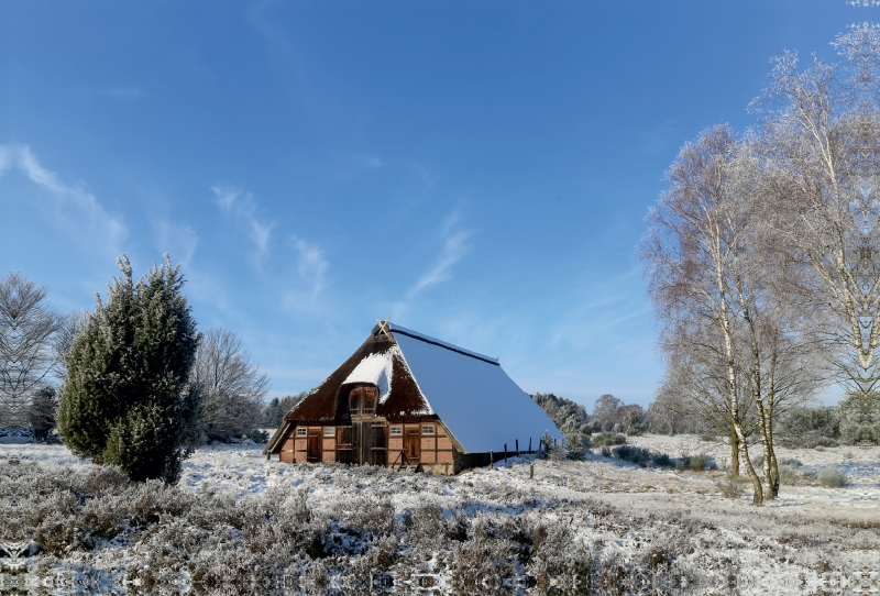 Winterlandschaft in der Timmerloher Heide