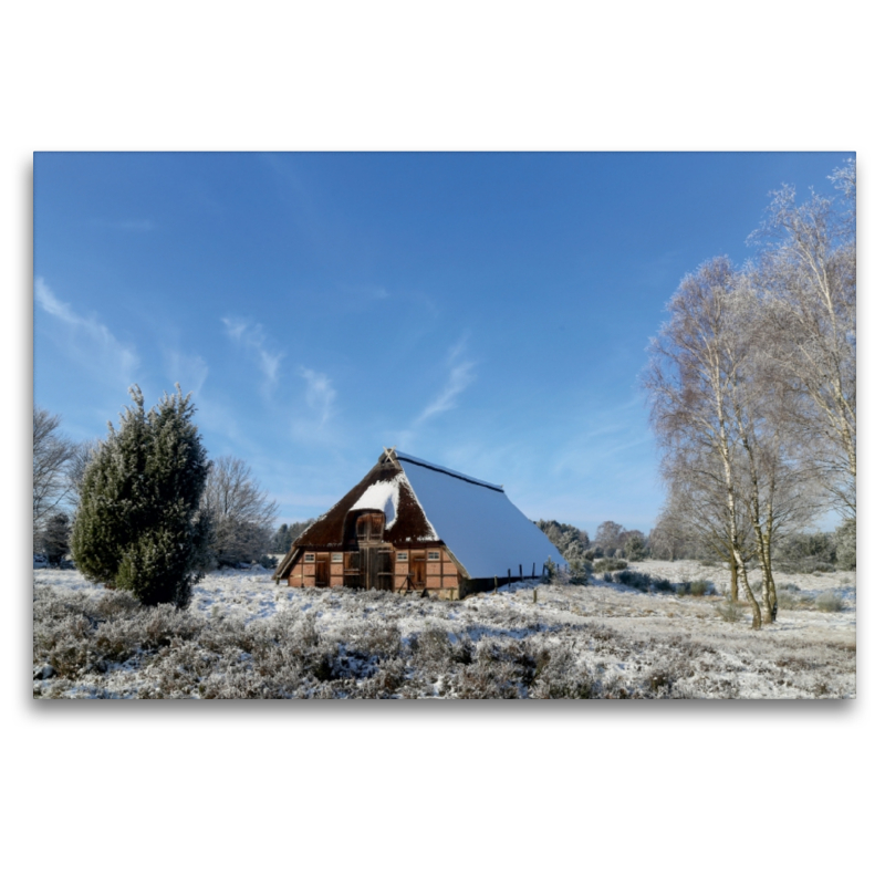 Winterlandschaft in der Timmerloher Heide