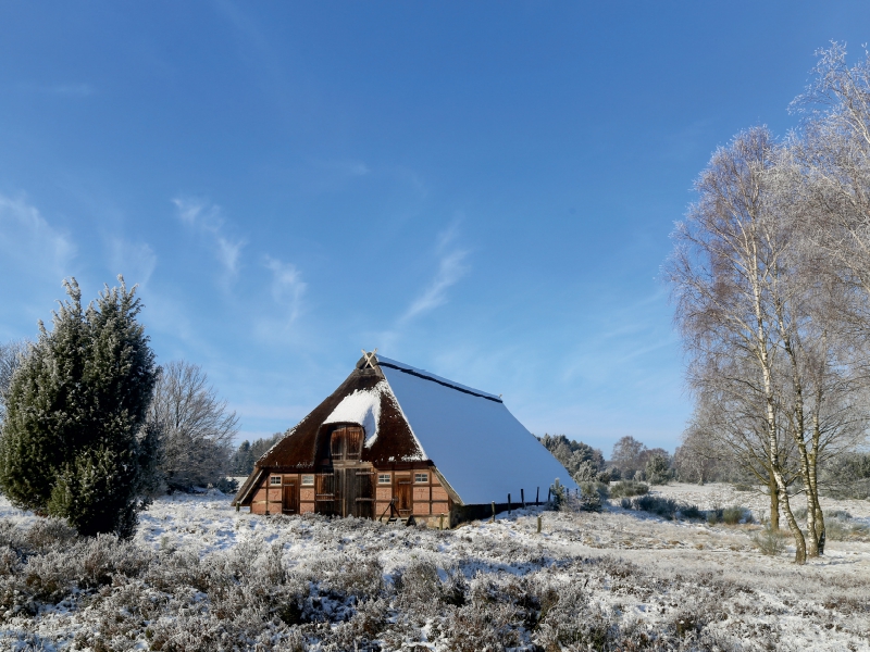 Winterlandschaft in der Timmerloher Heide