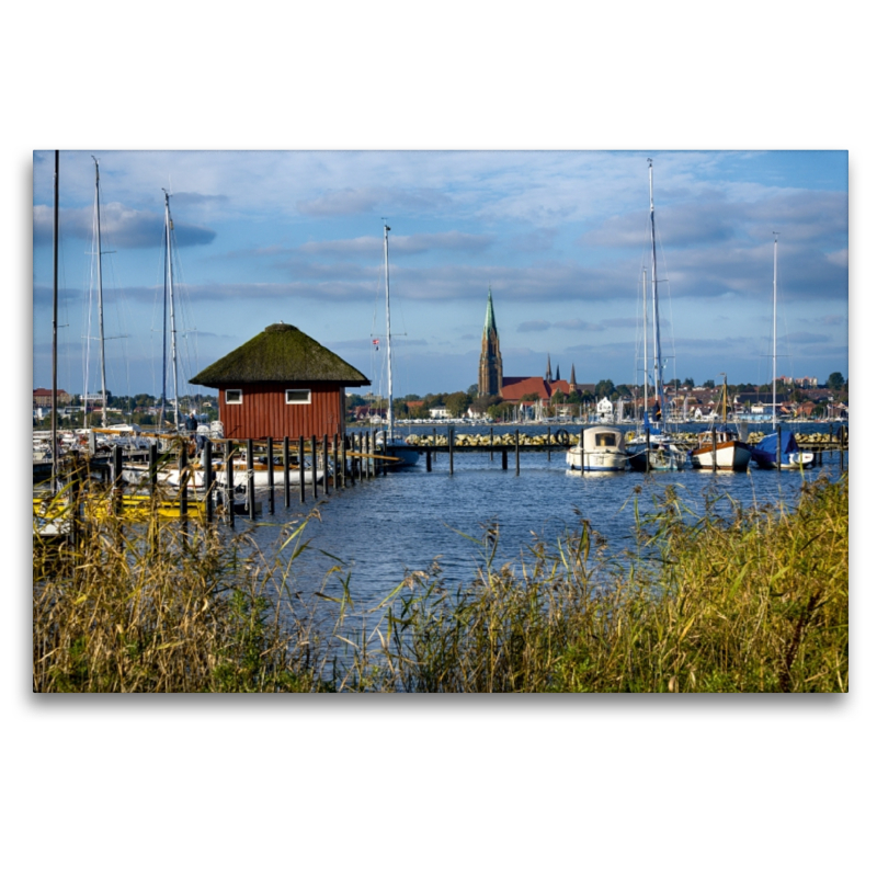 Blick über die Schlei auf den Schleswiger Dom