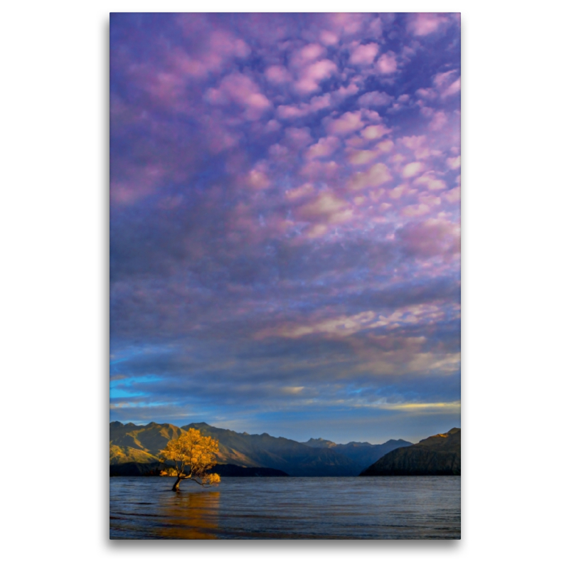 Der Baum im See von Wanaka im Morgenlicht, Neuseeland