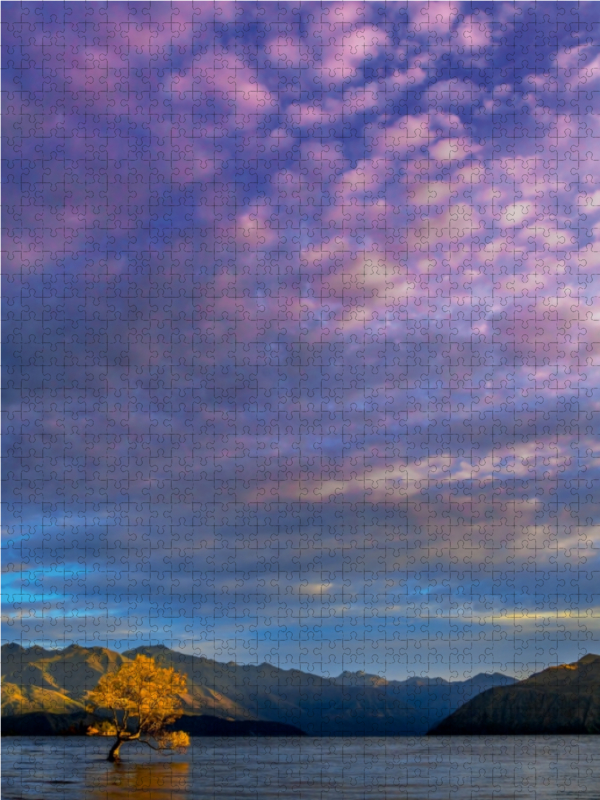 Der Baum im See von Wanaka im Morgenlicht, Neuseeland