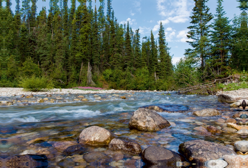 Am Stewart-Cassiar-Highway