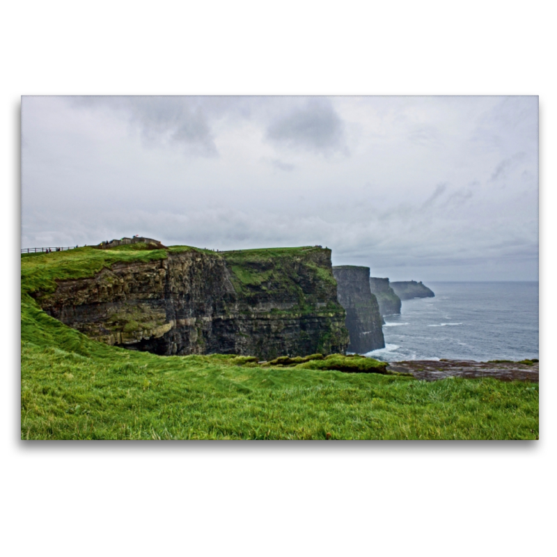 Bekanntschaft an den Cliffs of Moher