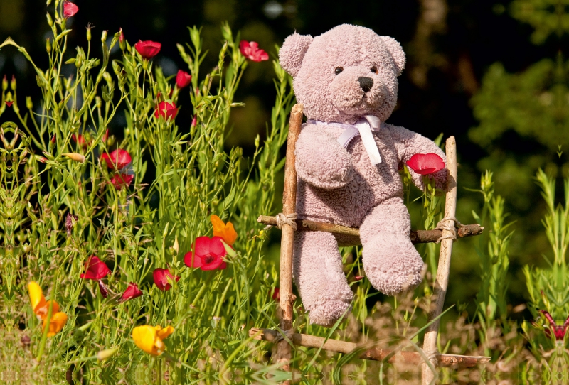 Kletterbär im Garten