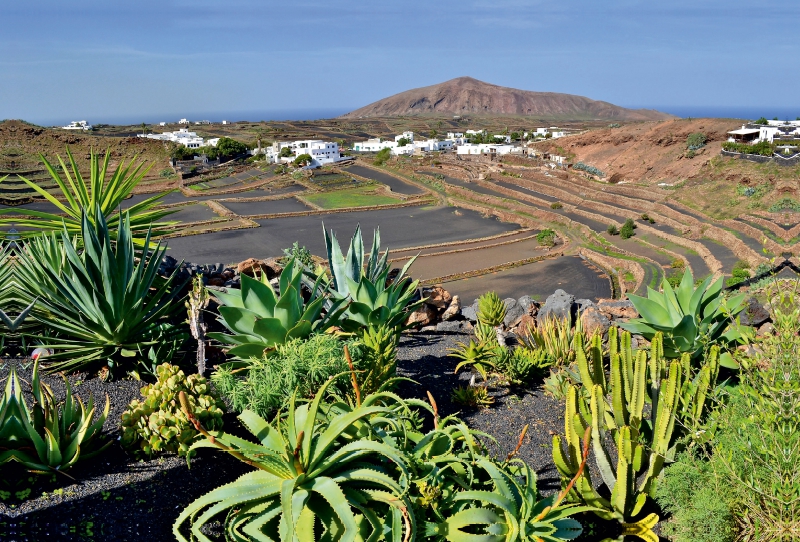 Lanzarote