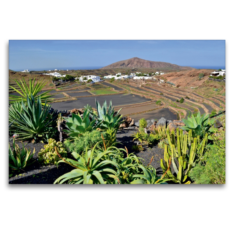 Lanzarote